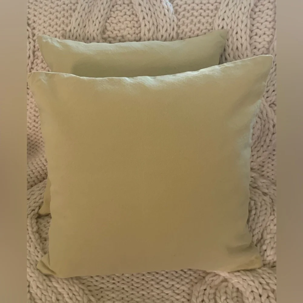 Pottery Barn Light Green Pillow Covers 18” Inserts not included